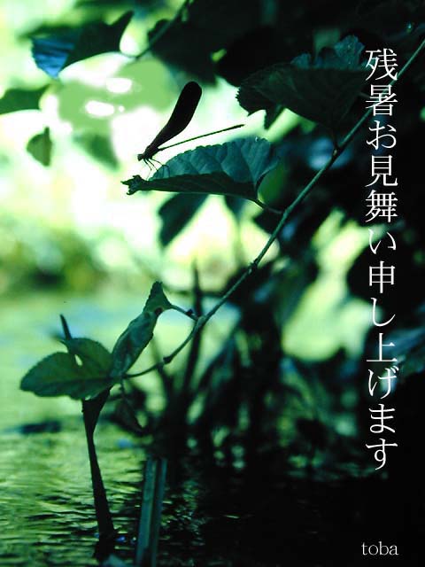 toba�l����̂��肪���������摜